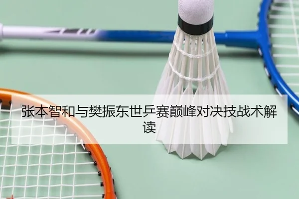 张本智和与樊振东世乒赛巅峰对决技战术解读（jiuyou）